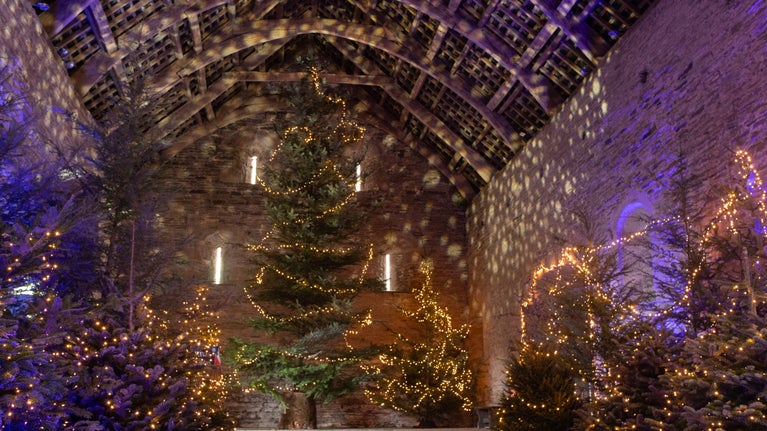 Large Christmas trees covered with fairy lights fill the Great Barn. Coloured lights are projected onto the stonework.